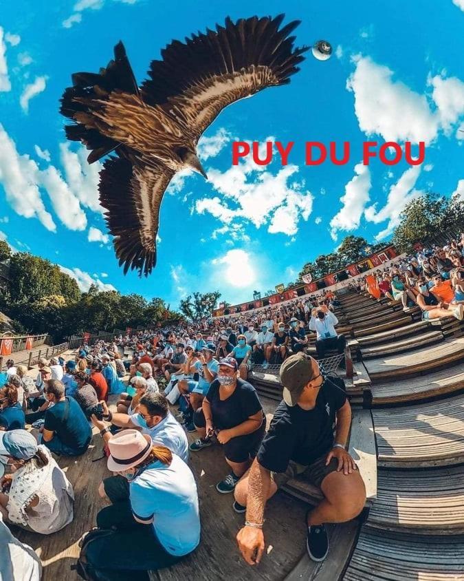 Le Vallon A Chambretaud, 5 Min Du Puy Du Fou Chambretaud